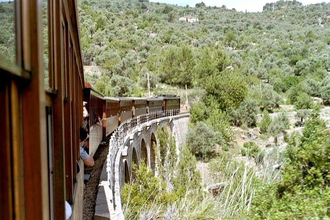 Soller Port with Train and Tram Mallorca Half Day Trip - Key points to know before booking