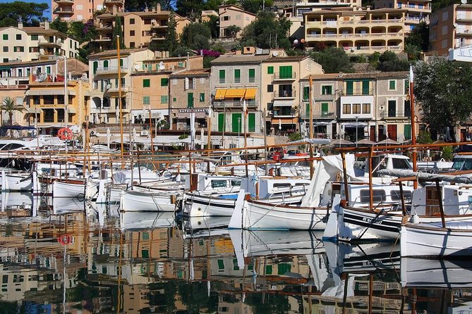 Soller Port with Train and Tram Mallorca Half Day Trip - Who should choose this half-day trip?