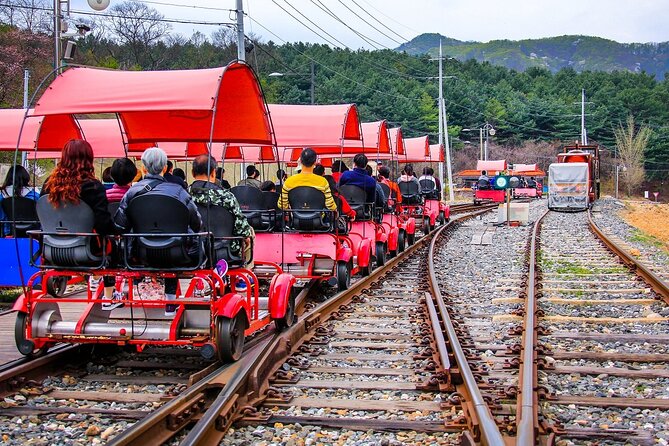 Special Private Tour Nami Island, Rail Bike, Petite France - Who will enjoy this private day trip