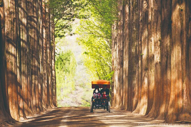 Special Private Tour Nami Island, Rail Bike, Petite France - Practical details before you book