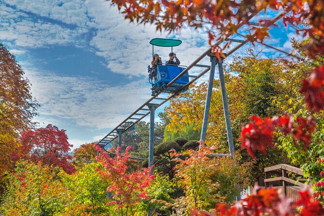 Special Private Tour Nami Island, Rail Bike, Petite France - Nami Island: two hours among the trees