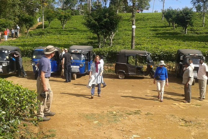 Special Tourists Train Ride in Ella - Calypso Train - Reserved ticket value versus the station fare