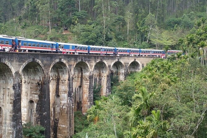 Sri Lanka Ella Private Day Tour Nine Arch & Elephant transit home - Hiking Little Adam’s Peak to 1,141 meters