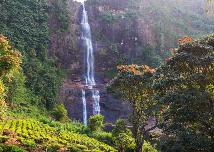 Sri Lanka Private 2-day Tour:Train Trip, Kandy, Nuwara Eliya - Key points to know before you book