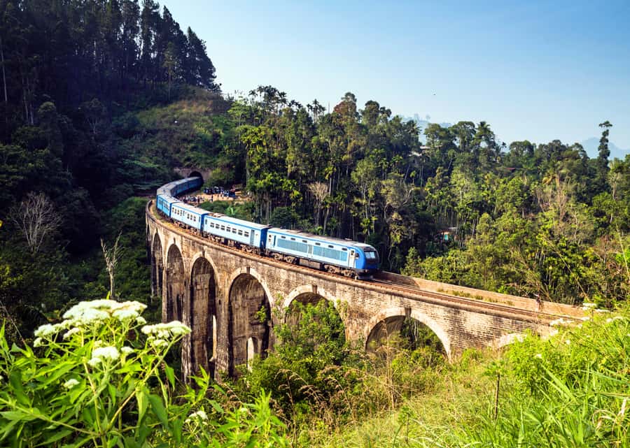 Sri Lanka Private 2-day Tour:Train Trip, Kandy, Nuwara Eliya - Guide quality and private-tour flexibility