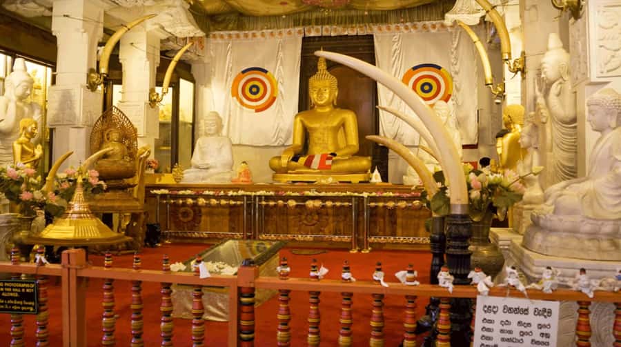 Sri Lanka Private 2-day Tour:Train Trip, Kandy, Nuwara Eliya - Peradeniya Garden: allow time to look up