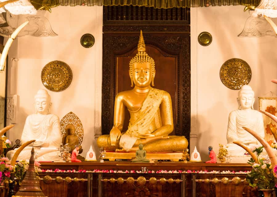 Sri Lanka Private 2-day Tour:Train Trip, Kandy, Nuwara Eliya - Day two: tea country and Nuwara Eliya