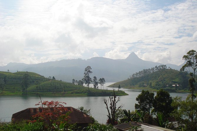 Sri Pada Mountain and Ella Train Journey from Kandy City - Key points to know before booking