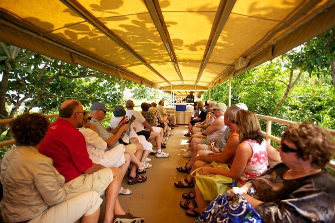 St Kitts Scenic Train Tour (Hotel or Ship) - Riding St. Kitts’ old sugar railway