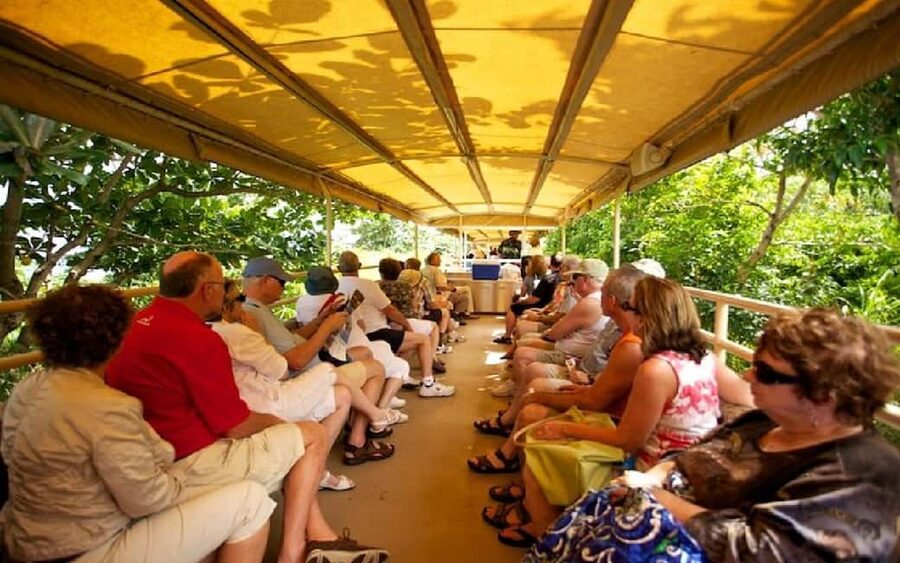 St. Kitts : Sugar Train with Pick Up & Drop-Off & Drinks - A sugar railway with a real purpose