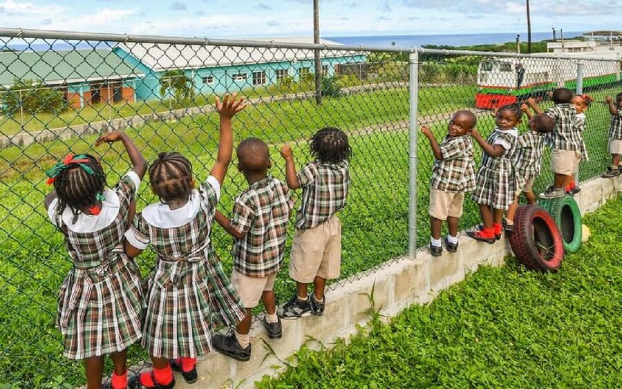 St. Kitts : Sugar Train with Pick Up & Drop-Off & Drinks - Villages, farms, rainforest, and free-roaming animals