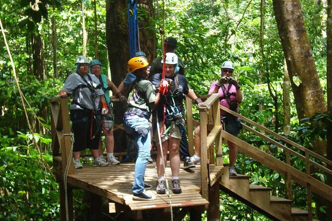 St. Lucia 3 in 1 Combo: Aerial Tram, Rainforest Trail & Zipline - Who will enjoy this St. Lucia combo