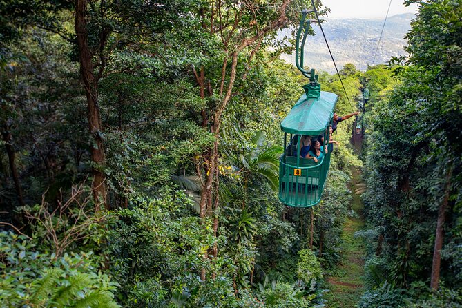 St. Lucia Aerial Tram Tour at Rainforest Adventures - Key points to know before you book