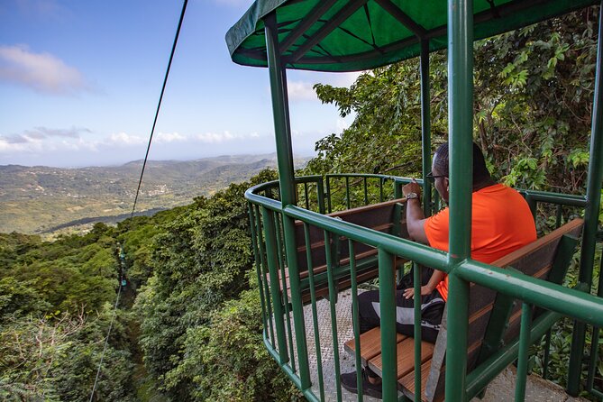 St. Lucia Aerial Tram Tour at Rainforest Adventures - Price, transportation, and the real value