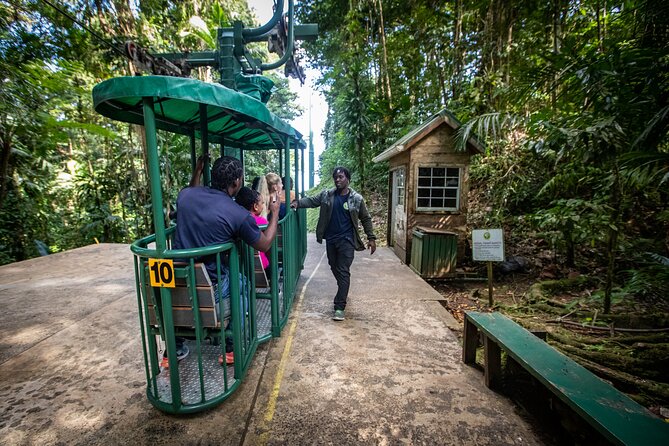 St. Lucia Aerial Tram Tour at Rainforest Adventures - What happens during the 2.5-hour visit