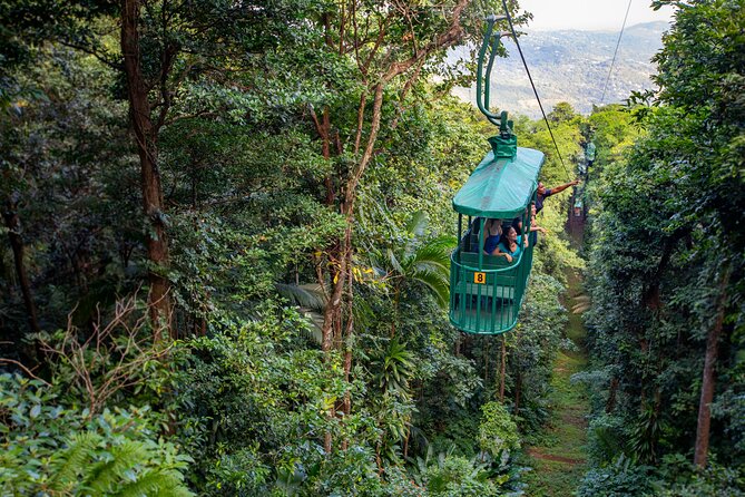 St Lucia Ultimate 3: Aerial Tram, Zipline and Hiking at Rainforest Adventures - Key points to know before booking