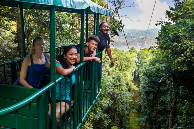 St Lucia Ultimate 3: Aerial Tram, Zipline and Hiking at Rainforest Adventures - The aerial tram gives you the calmest forest view