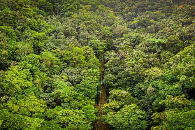 St Lucia Ultimate 3: Aerial Tram, Zipline and Hiking at Rainforest Adventures - Returning by tram, then cooling off at the base