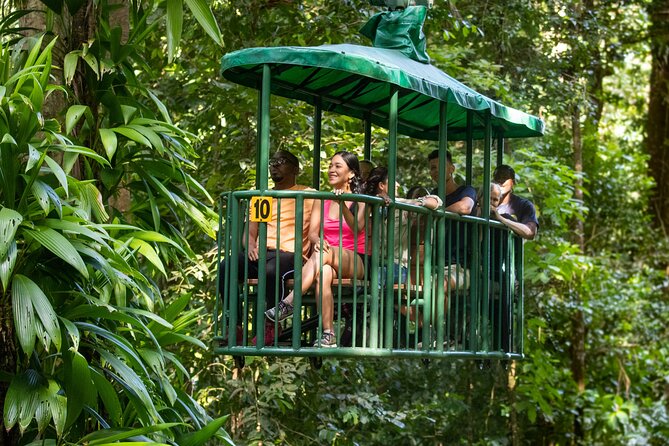 St Lucia Ultimate 3: Aerial Tram, Zipline and Hiking at Rainforest Adventures - How the guides shape the day