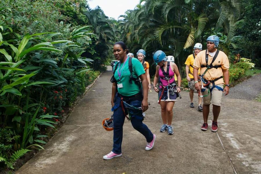 St Lucia Ultimate 3 Package: Aerial Tram Zip Line & Hiking - Zip lines above the city and trees