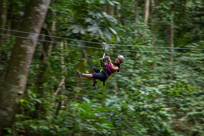 St Lucia Ultimate 3 Package: Aerial Tram, Zipline and Hiking - Hiking Brings the Forest Back to Ground Level