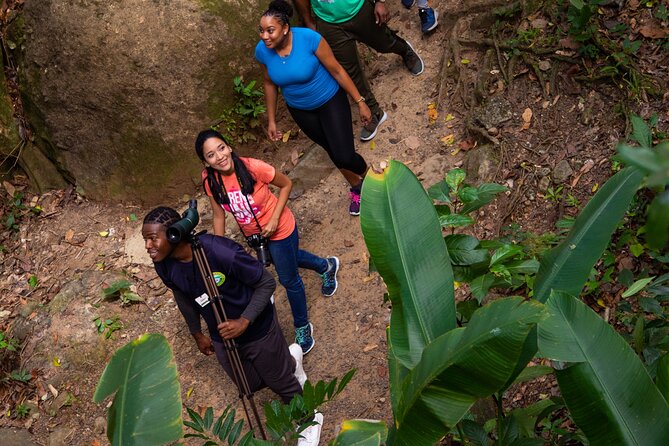 St Lucia Ultimate 3 Package: Aerial Tram, Zipline and Hiking - What the Guides Add to the Day