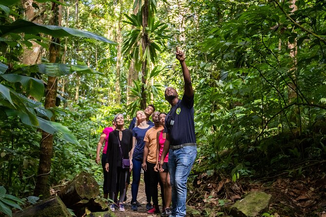 St Lucia Ultimate 3 Package: Aerial Tram, Zipline and Hiking - Fitness, Size, and Comfort Rules