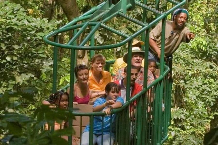 St. Lucia: Zip Line, Aerial Tram, and Hiking Tour - Three ways to see the Castries Waterworks Forest Reserve