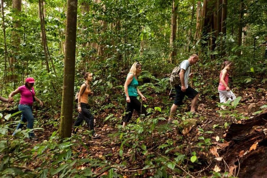 St. Lucia: Zip Line, Aerial Tram, and Hiking Tour - Ten ziplines bring the main rush