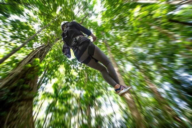 St. Lucia Zip line, Aerial Tram and Hiking tour Ultimate 3 - Eight zip lines create a long, friendly canopy session