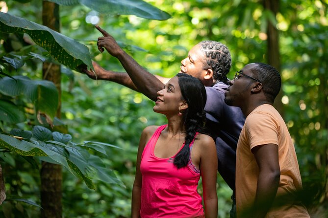 St. Lucia Zip line, Aerial Tram and Hiking tour Ultimate 3 - The guides make the difference