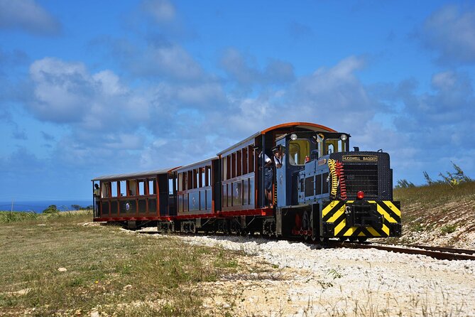 St. Nicholas Abbey & Heritage Railway - Key points to know before booking