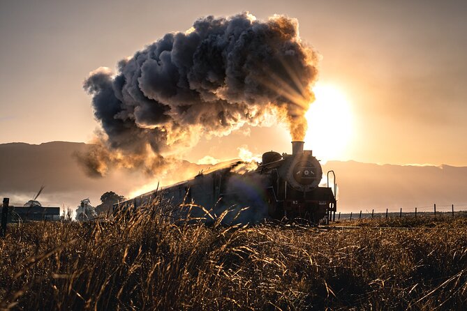 Steam Train to Elgin Railway Market - Why this Cape Town train ride is worth considering