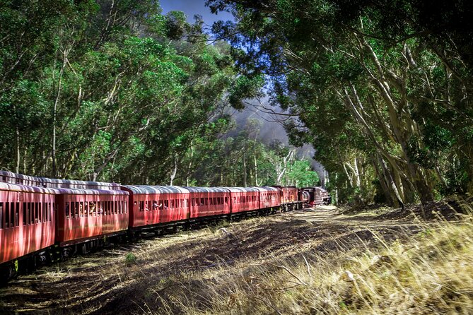 Steam Train to Elgin Railway Market - The climb to Sir Lowry’s Pass
