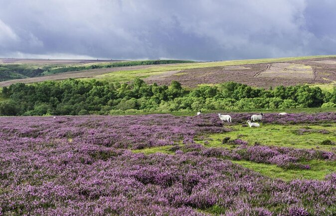 Steam Trains, Whitby, and the North York Moors Full-Day Tour from York - Whitby gives you two hours by the sea