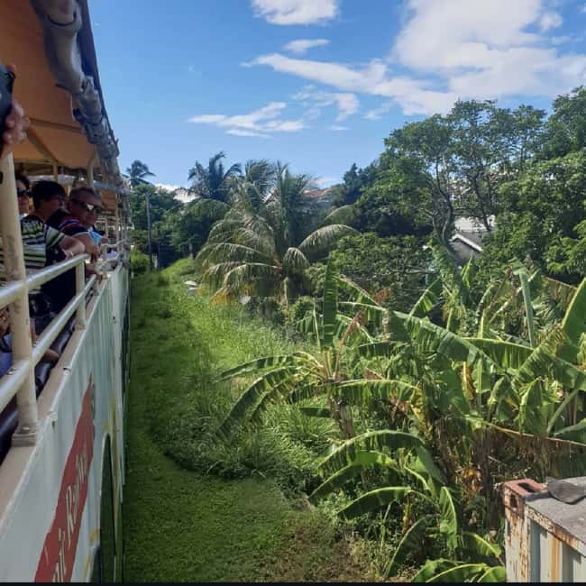 Sugar Train Tour & Drinks|Pick-Up &Drop Off From Cruise Port - A relaxed look at St. Kitts from the rails