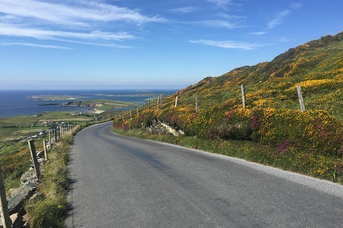 Sustainable Connemara and Galway Bay Rail Tour from Dublin - Is the $193.86 price good value?