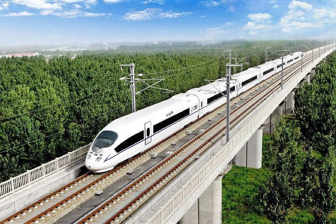 Suzhou Private Customized Day Trip from Shanghai by Bullet Train - What the private guide changes