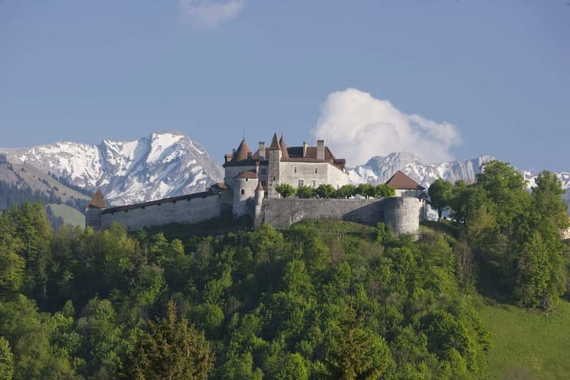 Switzerland: Train, Bus, Boat Travel Pass Flex - Museums add value on bad-weather days