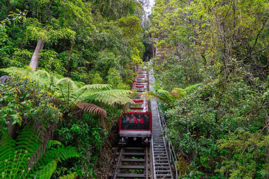 Sydney: Heritage Zig Zag Steam Train and Blue Mountains Tour - Katoomba lunch, with little room for delay