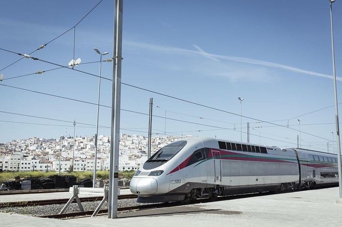 Tangier Private Day Trip from Casablanca by High Speed Train - A short camel ride at Achakkar Beach