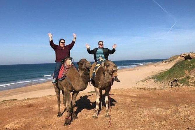 Tangier Private Day Trip from Casablanca by High Speed Train - Cape Spartel and the meeting of two seas