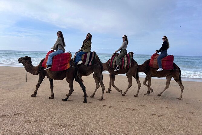 Tangier Tour from Casablanca by High Speed Train - The Kasbah Museum in a 17th-century palace
