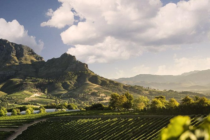 Taste + Tram the Winelands Tour: Franschhoek, Stellenbosch, Paarl - Rickety Bridge or Plaisir brings a second estate tasting