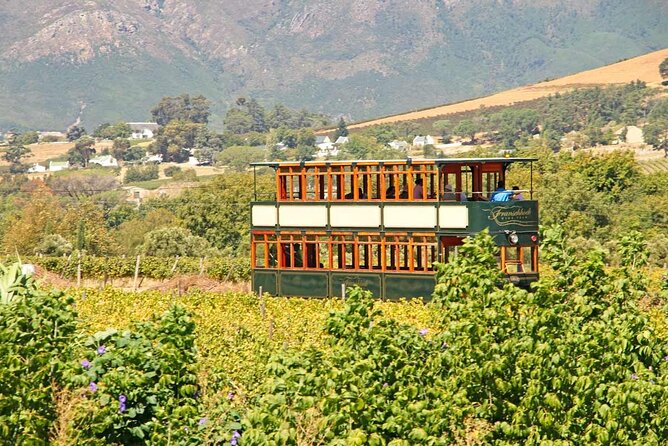 Taste + Tram the Winelands Tour: Franschhoek, Stellenbosch, Paarl - Your guide can shape the whole day