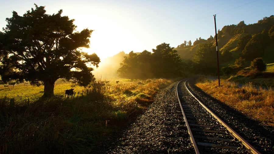 Taumarunui: Forgotten World Rail Cart Tour with Lunch - Why this rail cart trip feels different