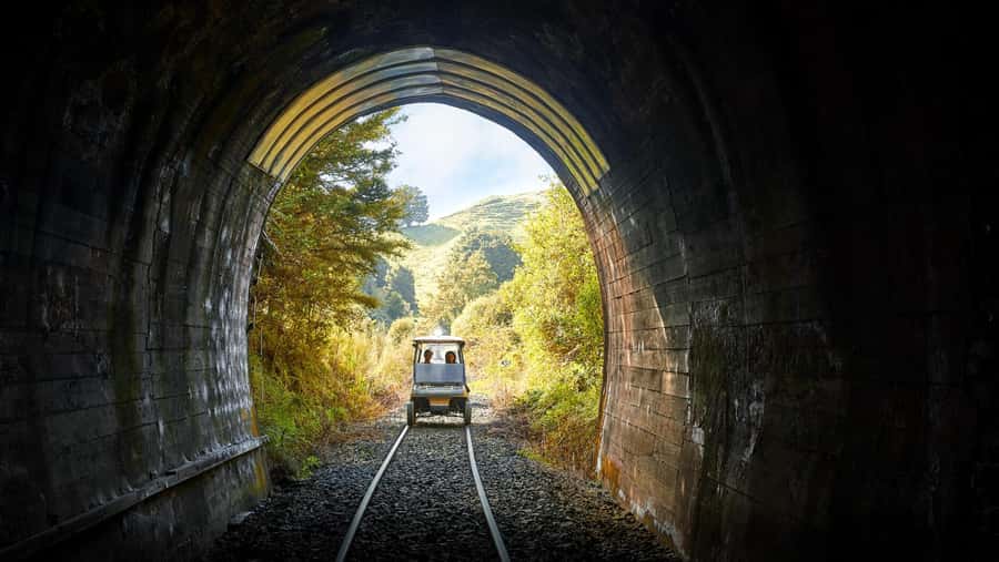 Taumarunui: Forgotten World Rail Cart Tour with Lunch - From Taumarunui to Okahukura
