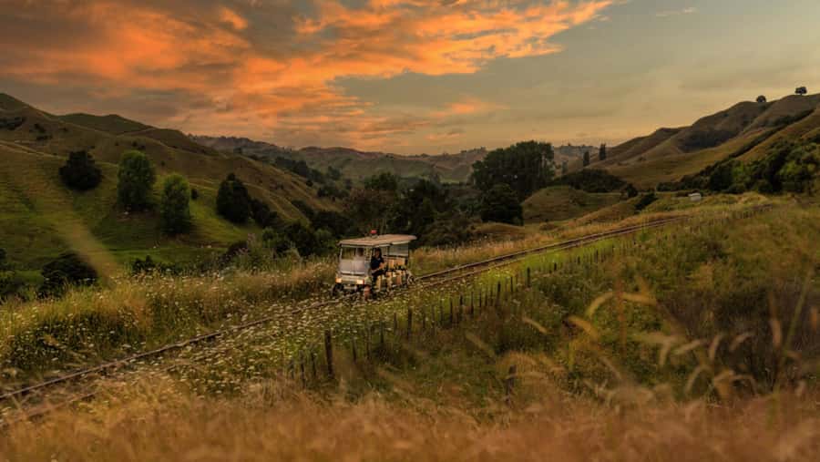 Taumarunui: Forgotten World Rail Cart Tour with Lunch - Ten tunnels, including the 1.5-kilometer passage