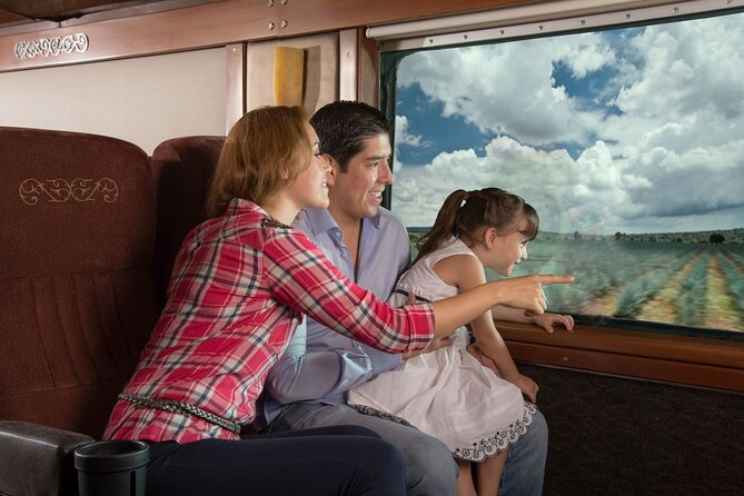 Tequila Day Trip from Guadalajara with Jose Cuervo Express Train - What the included drinks and snacks really mean