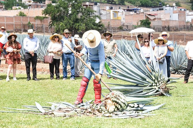 Tequila Express Round Trip by Train - Casa Sauza and Hacienda La Perseverancia